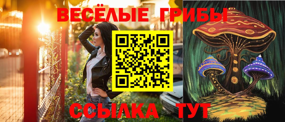Галлюциногенные грибы Psilocybine cubensis Сызрань