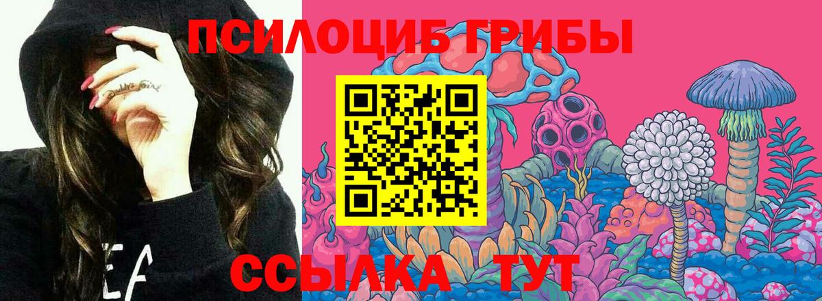 Галлюциногенные грибы Psilocybe  Галлюциногенные грибы MAGIC MUSHROOMS  купить  цена  Вход с VPN  Сызрань 