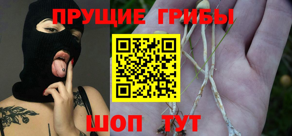 Галлюциногенные грибы прущие грибы  Вход с VPN  Сызрань 