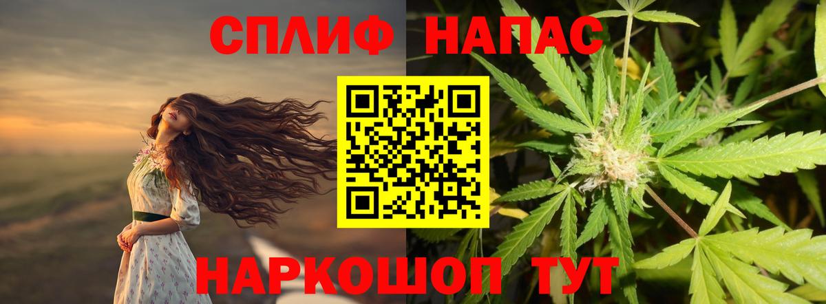 Конопля марихуана Сызрань